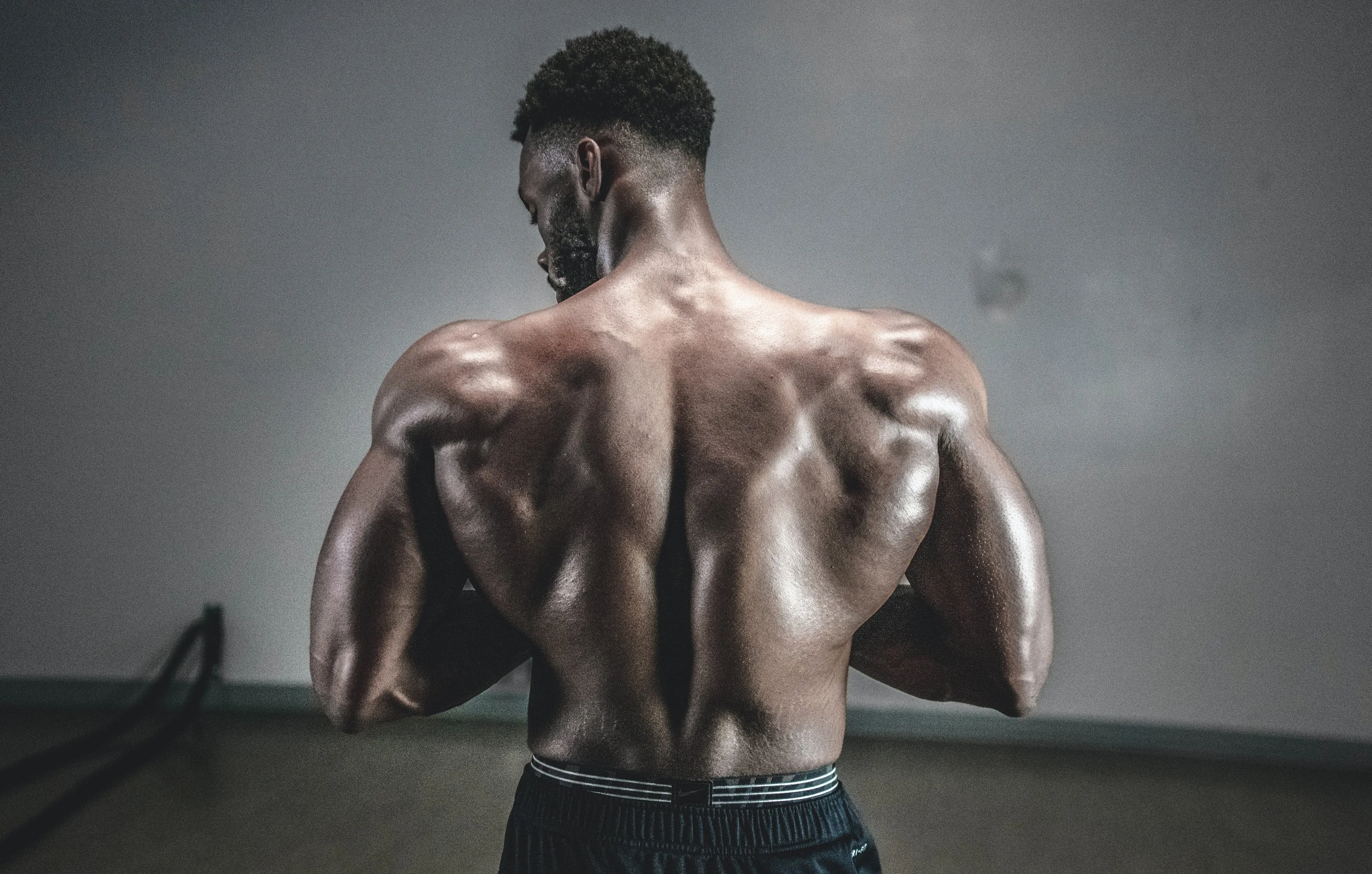 Qu'est ce que la myostatine et comment la réduire ?